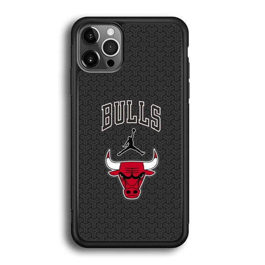 Jordan Bulls Pattern iPhone 12 Pro Max Case