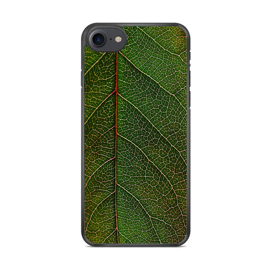 Txt Rosenblatt Green iPhone 8 Case